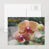 Orchideeën # 10 briefkaart (Voorkant / Achterkant)