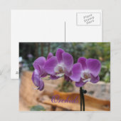 Orchideeën # 11 briefkaart (Voorkant / Achterkant)
