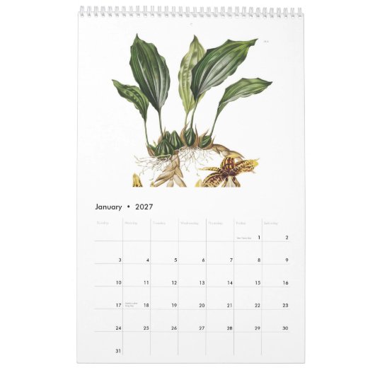Orchideeën 2015 kalender (Jan 2027)
