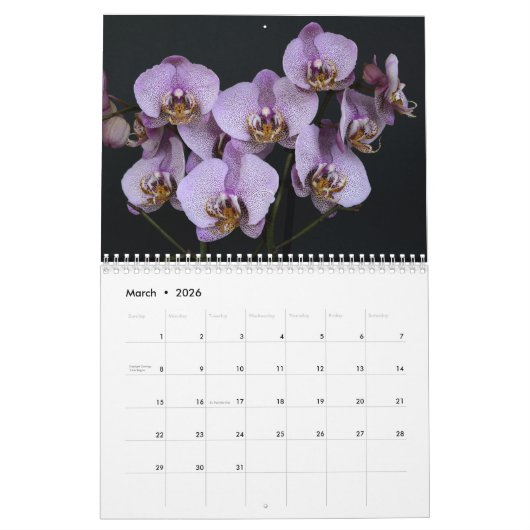 Orchideeën 2025 kalender (Mar 2026)