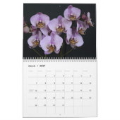 Orchideeën 2025 kalender (Mar 2027)