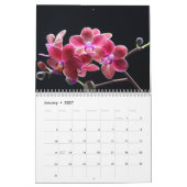 Orchideeën 2025 kalender (Jan 2027)