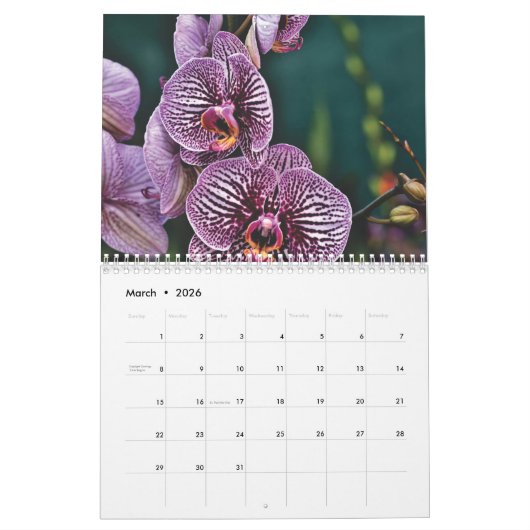 Orchideeën 2025 kalender (Mar 2026)