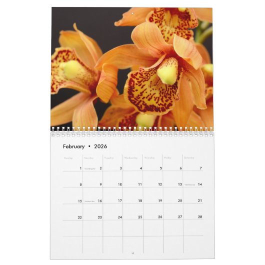 Orchideeën 2025 kalender (Feb 2026)