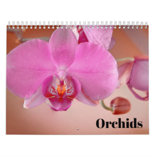 Orchideeën 2027 kalender