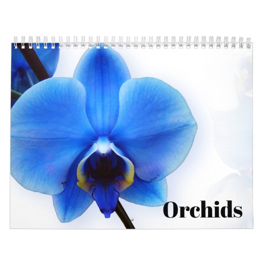 Orchideeën 2027 kalender (Hoes)