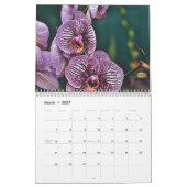 Orchideeën 2027 kalender (Mar 2027)