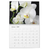 Orchideeën 2027 kalender (Jan 2027)
