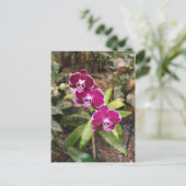 Orchideeën # 26 briefkaart (Staand voorkant)