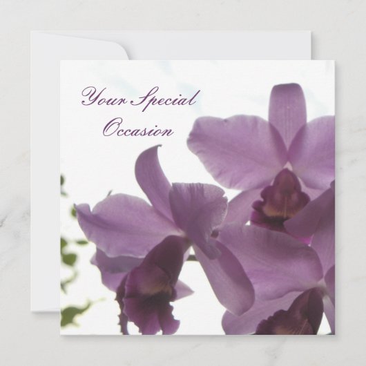 Orchideeën 2 All-Occasion Invites Kaart (Voorkant)