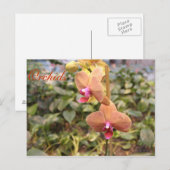 Orchideeën # 4 briefkaart (Voorkant / Achterkant)