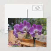 Orchideeën # 9 briefkaart (Voorkant / Achterkant)