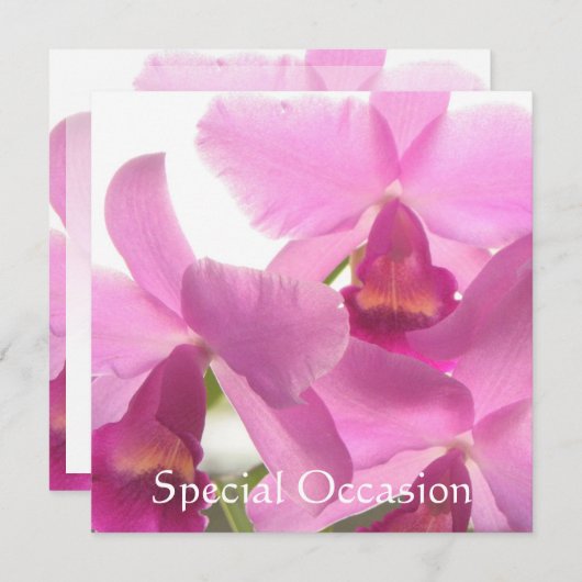 Orchideeën All-Occasion Invites/ Kaart (Voorkant / Achterkant)