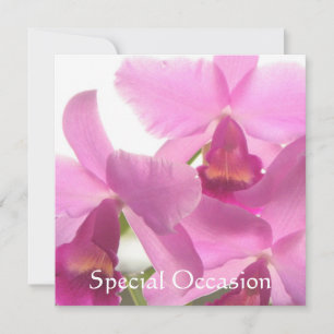 Orchideeën All-Occasion Invites/ Kaart