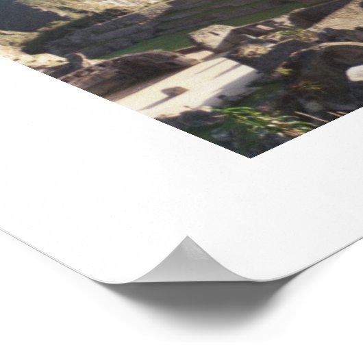 Orchideeën bij Machu Picchu Poster (Hoek)