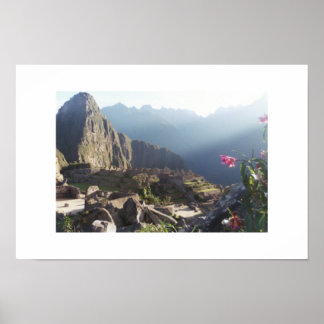 Orchideeën bij Machu Picchu Poster