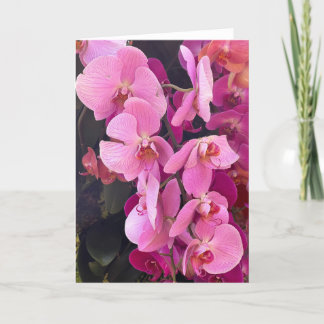 Orchideeën Blank Note Kaart
