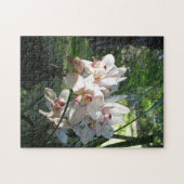 Orchideeën bloeien in de voorjaarspuzzel legpuzzel (Horizontaal)