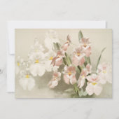 Orchideeën bloem  oude illustratie kaart (Voorkant)