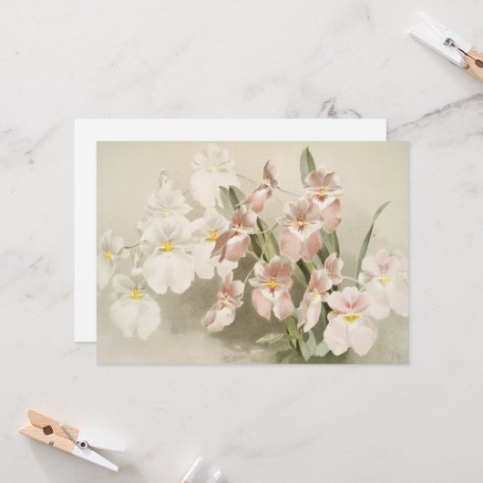 Orchideeën bloem  oude illustratie kaart (Voorkant / Achterkant in situ)