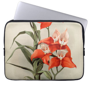 Orchideeën Blooming Flower  Old Illustration Laptop Sleeve