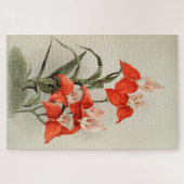 Orchideeën Blooming Flower  Old Illustration Legpuzzel (Horizontaal)