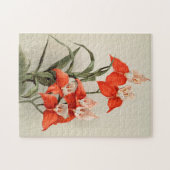 Orchideeën Blooming Flower  Old Illustration Legpuzzel (Horizontaal)