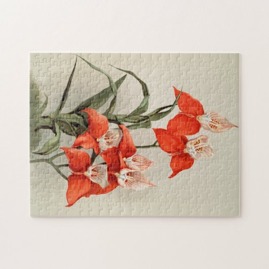 Orchideeën Blooming Flower  Old Illustration Legpuzzel (Horizontaal)