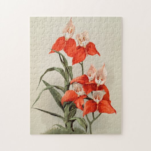 Orchideeën Blooming Flower  Old Illustration Legpuzzel (Verticaal)