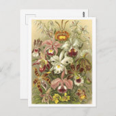  orchideeën botanische illustratie Briefkaart (Voorkant / Achterkant)