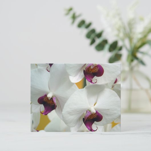 Orchideeën Briefkaart (Staand voorkant)