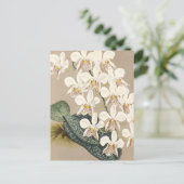 Orchideeën Briefkaart (Staand voorkant)