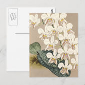 Orchideeën Briefkaart (Voorkant / Achterkant)