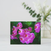 Orchideeën Briefkaart (Staand voorkant)