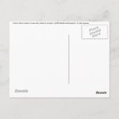 Orchideeën Briefkaart (Achterkant)