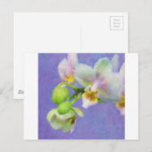 Orchideeën Briefkaart (Voorkant / Achterkant)