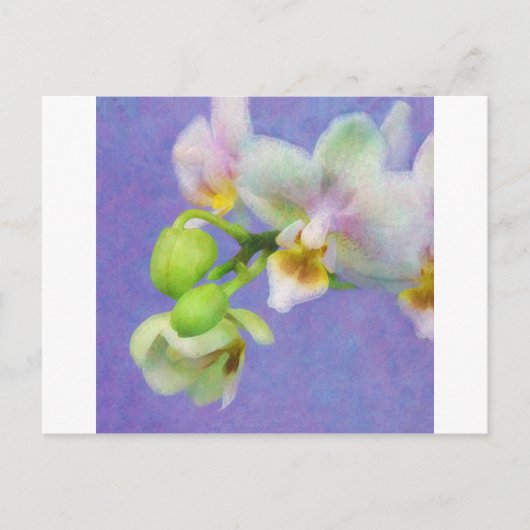 Orchideeën Briefkaart (Voorkant)