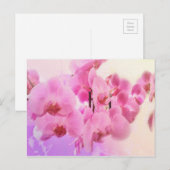 orchideeën. briefkaart (Voorkant / Achterkant)