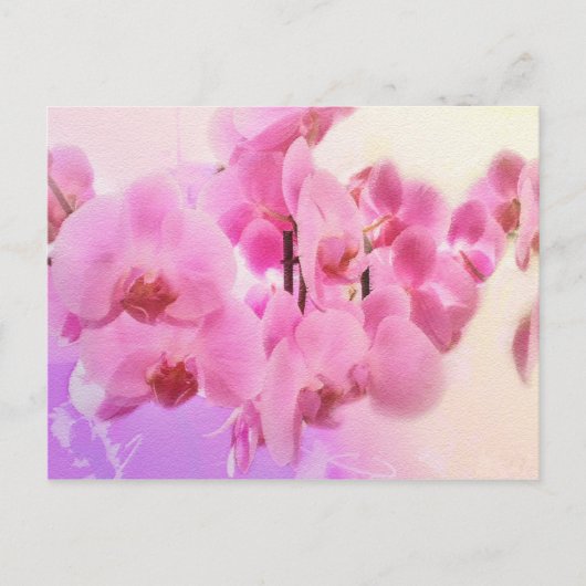 orchideeën. briefkaart (Voorkant)