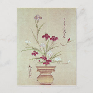 Orchideeën Briefkaart