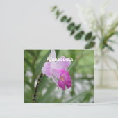 Orchideeën Briefkaart (Staand voorkant)