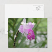 Orchideeën Briefkaart (Voorkant / Achterkant)