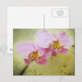 Orchideeën Briefkaart (Voorkant / Achterkant)