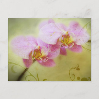 Orchideeën Briefkaart