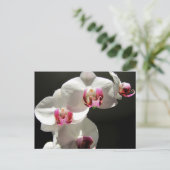 Orchideeën Briefkaart (Staand voorkant)