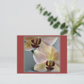 Orchideeën Briefkaart (Staand voorkant)