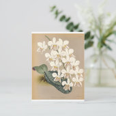 Orchideeën Briefkaart (Staand voorkant)