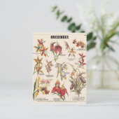 Orchideeën Briefkaart (Staand voorkant)
