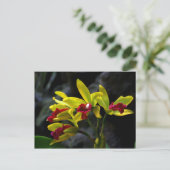 Orchideeën Briefkaart (Staand voorkant)