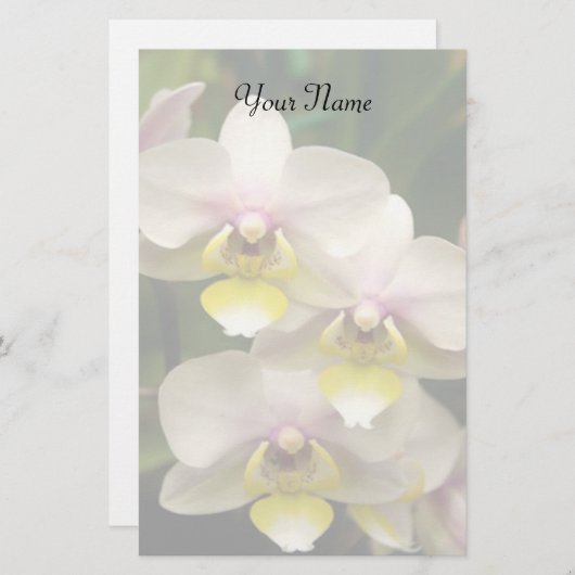 Orchideeën briefpapier (Voorkant / Achterkant)